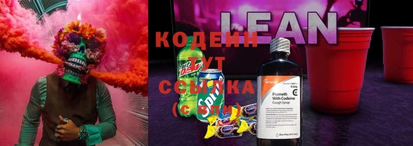 соль ск Абаза