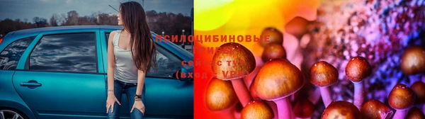 соль ск Абаза