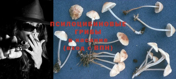 не бодяженный Абинск